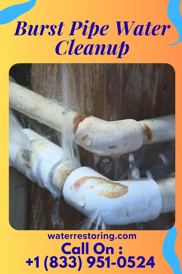Burst Pipe Water Cleanup in Harper, KS