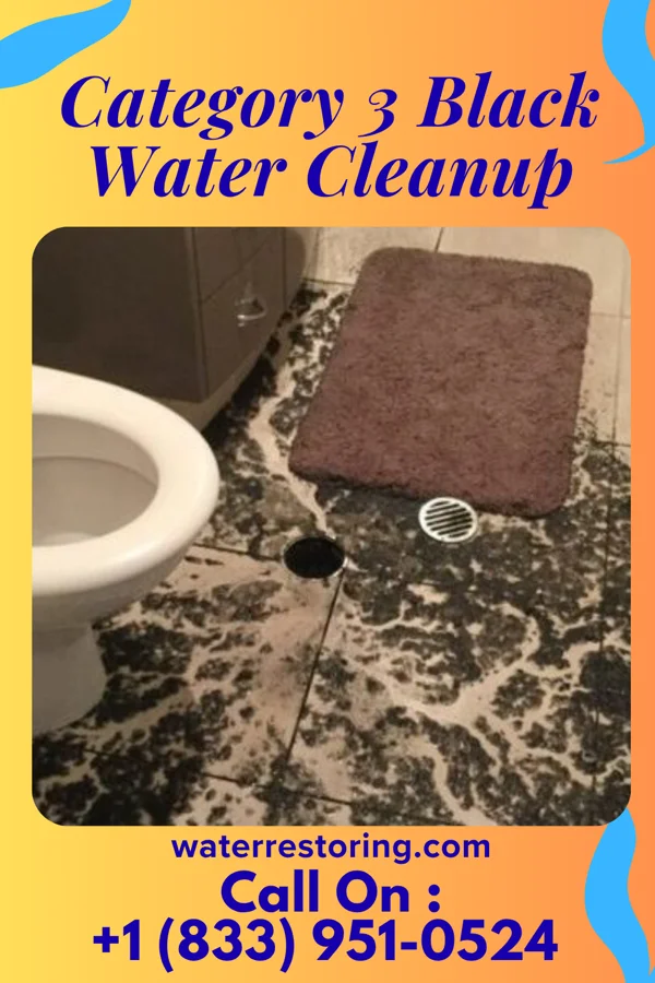 Category 3 Black Water Cleanup in Harper, KS