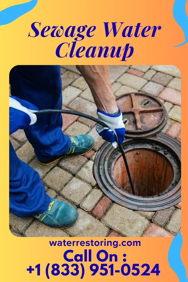 Sewage Water Cleanup in Harper, KS
